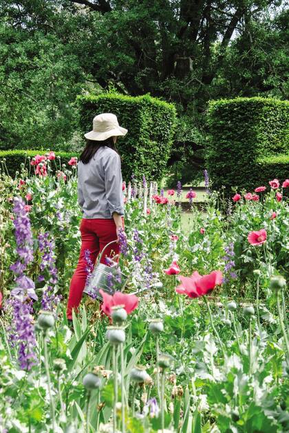 Primavera. Ocho tareas jardineras para hacer en la estación más esperada