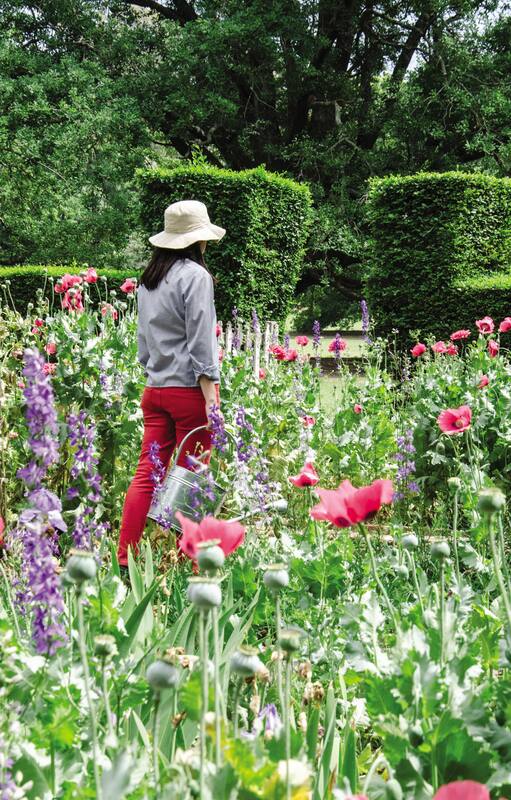 Primavera. Ocho tareas jardineras para hacer en la estación más esperada