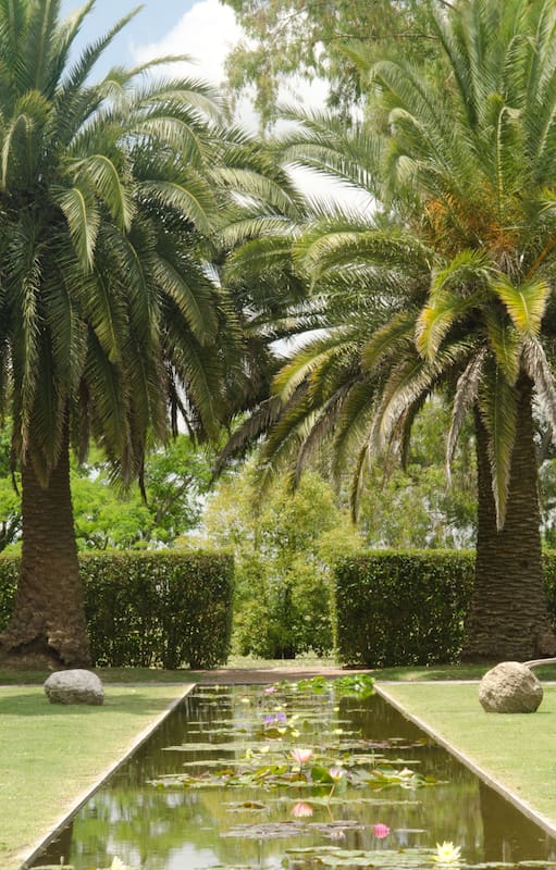 Estanques: siete propuestas para llevar frescura al jardín
