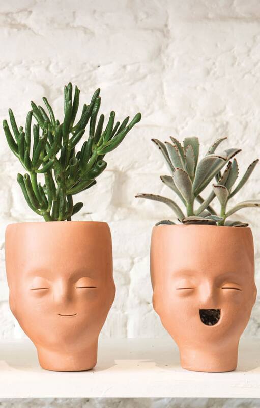 Qué regalar en Navidad a un amante de las plantas y la jardinería