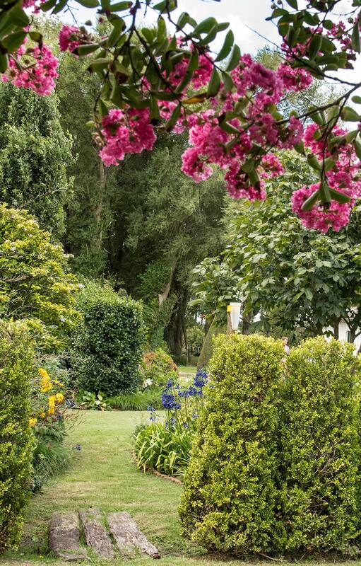 10 cosas que aprendimos del jardín de Ignacio Van Heden