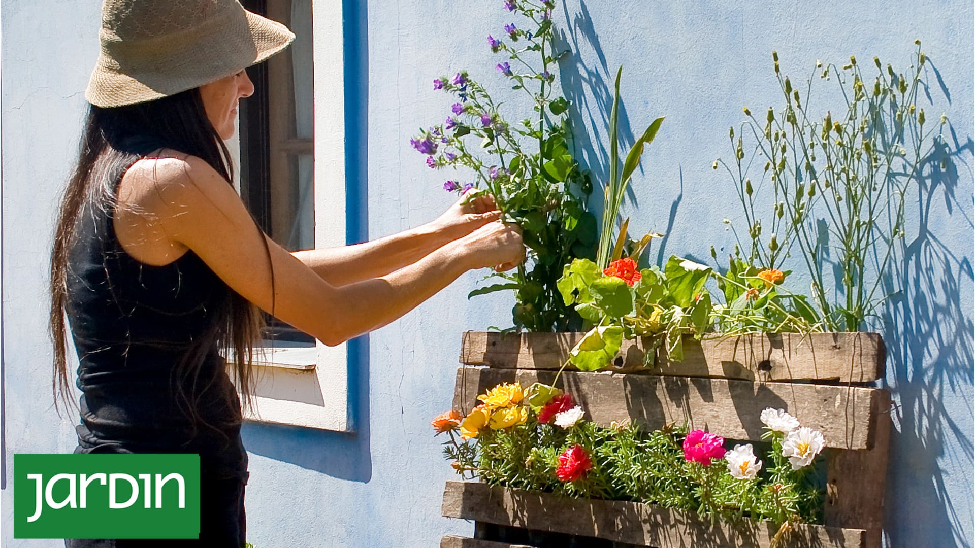 Jardines ninja: Cómo hacer crecer plantas en lugares imposibles y salir victorioso