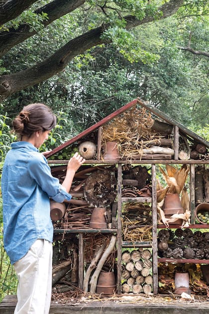 Hoteles de insectos, refugios de vida con beneficios para el jardín
