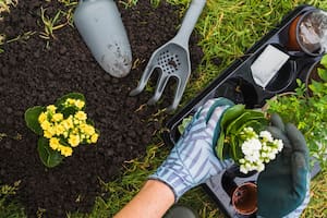 Arranca una semana dedicada a los amantes de las plantas, llena de libros, agendas y revistas con descuentos especiales