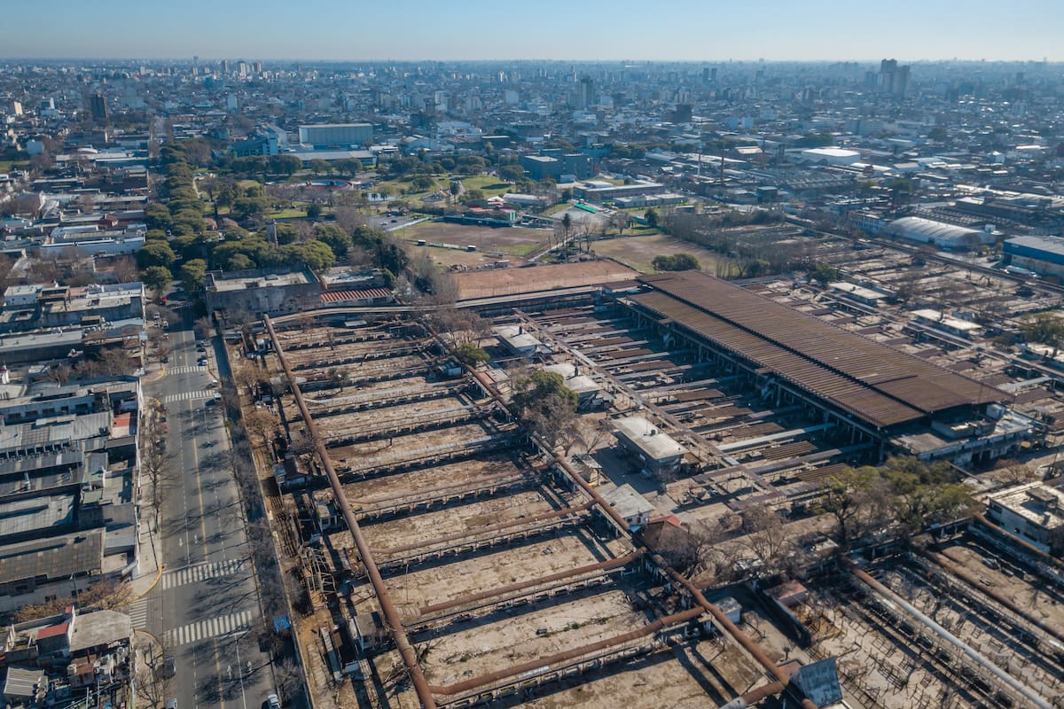 De tránsito de vacas a cochera de autos abandonados. Así luce hoy el exMercado de Hacienda de Liniers