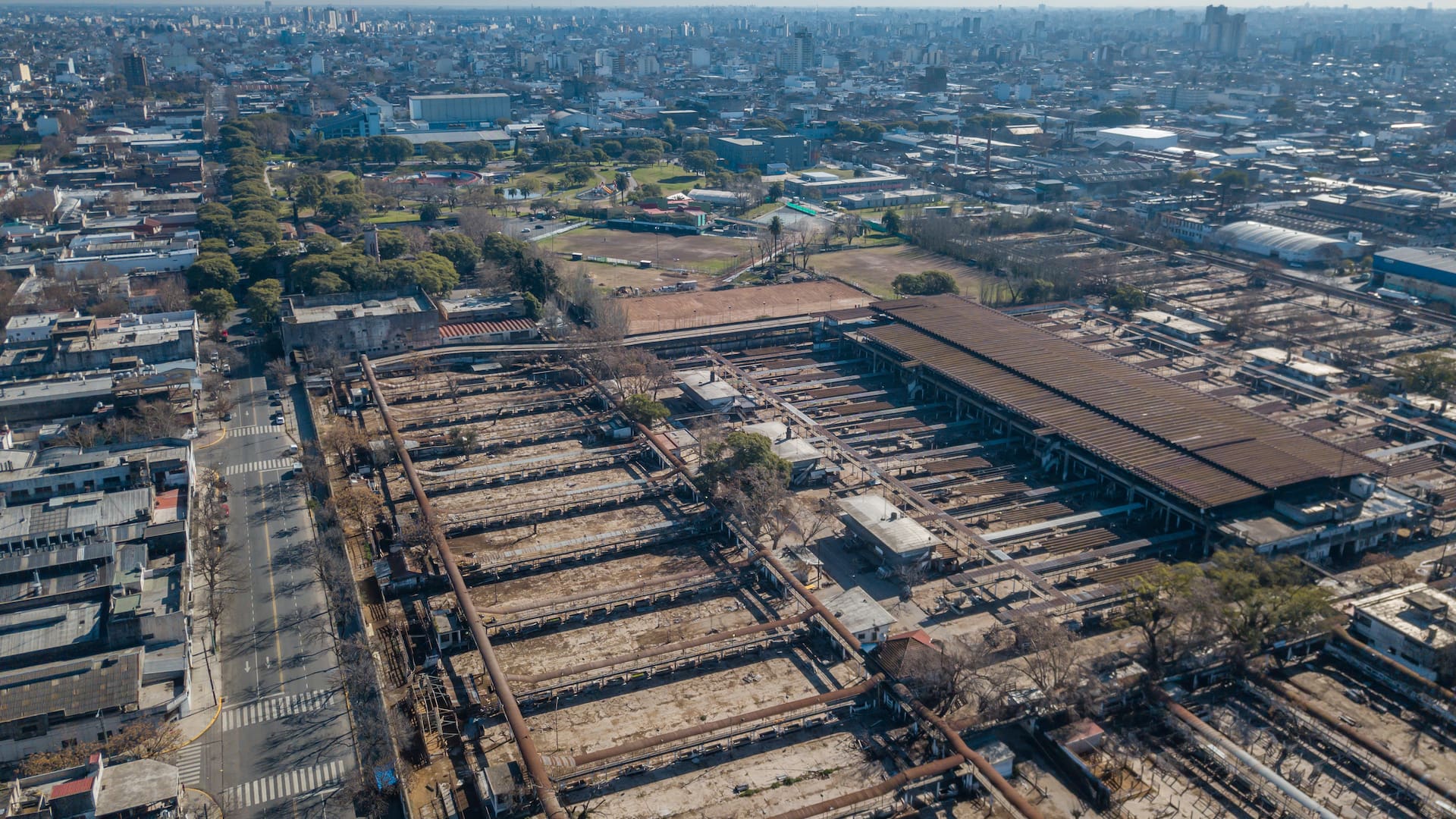 De tránsito de vacas a cochera de autos abandonados. Así luce hoy el exMercado de Hacienda de Liniers