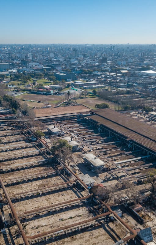 De tránsito de vacas a cochera de autos abandonados. Así luce hoy el exMercado de Hacienda de Liniers