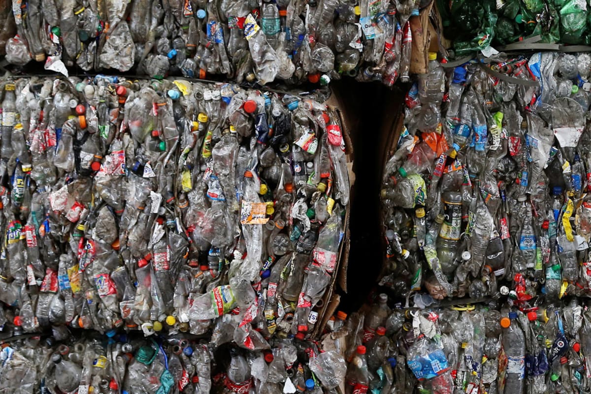 Desarrollo sustentable. El desafío de crecer sin devastar el planeta