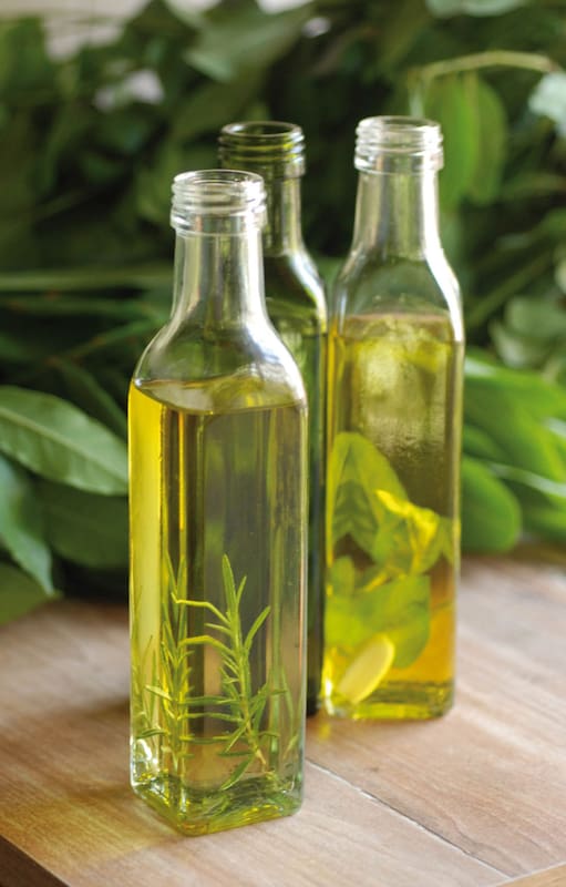Aceites vegetales, de dónde provienen y cuáles son sus múltiples beneficios nutritivos
