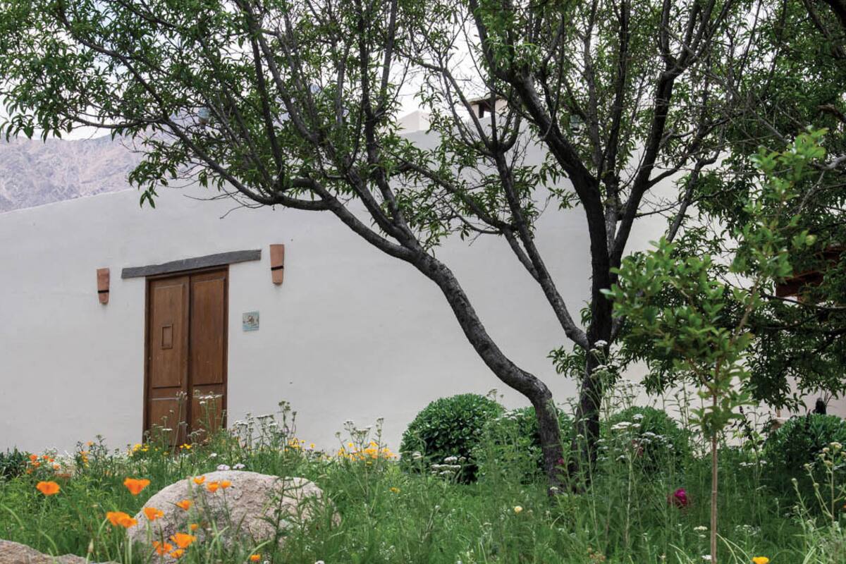 En Cachi Adentro. La finca que recibe turistas entre nogales y aromáticas