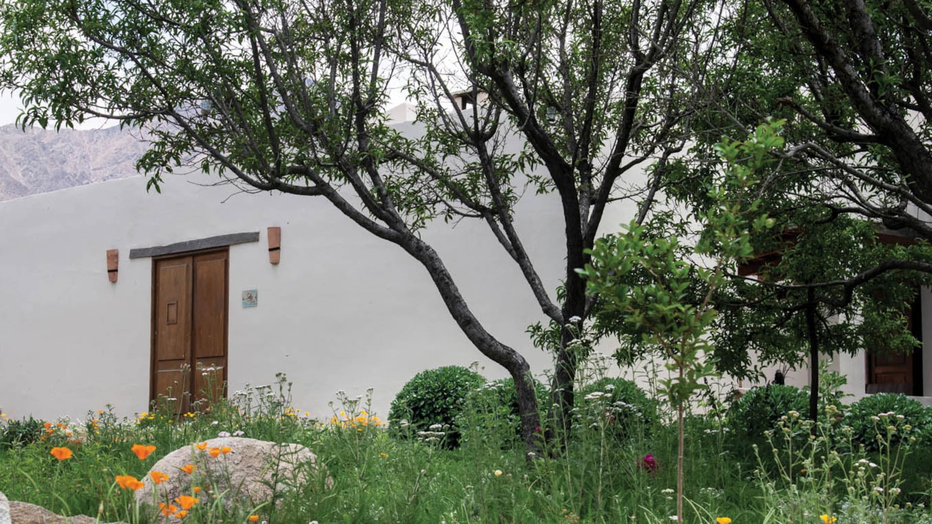 En Cachi Adentro. La finca que recibe turistas entre nogales y aromáticas