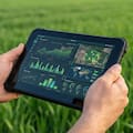 El desafío de convertir tecnología en productividad