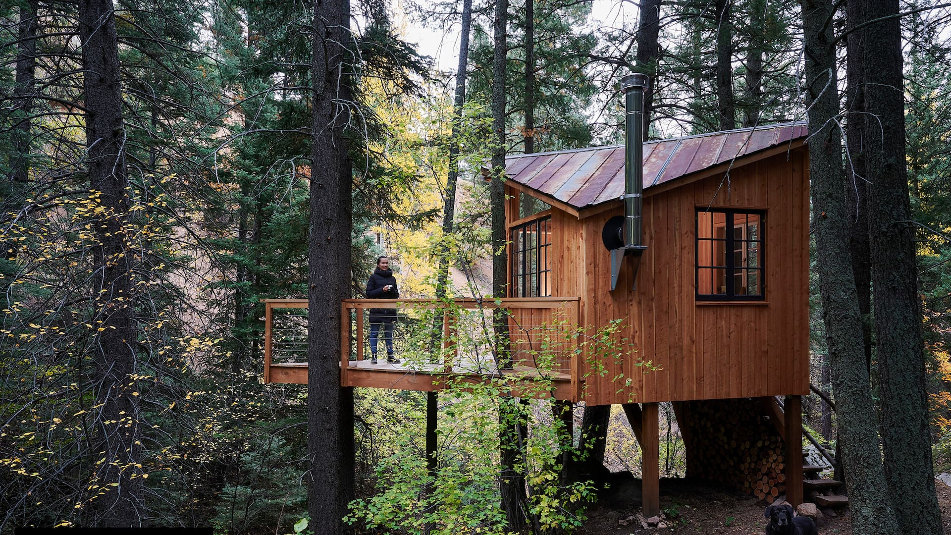 Una diseñadora argentina proyectó una “casa del árbol” para adultos en las montañas de Colorado
