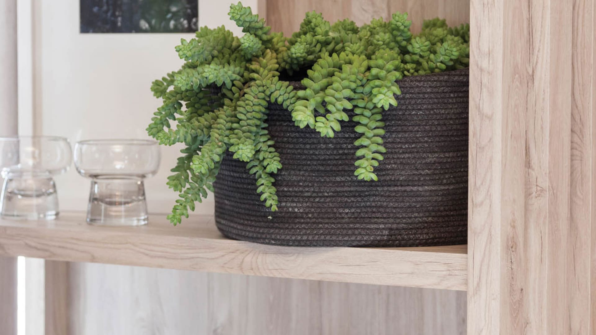 Seis ideas para darles onda a tus plantas de interior