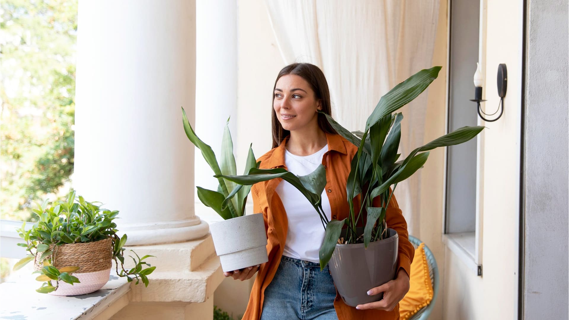 El truco de los viveristas para que tus plantas resistan el frío sin problemas