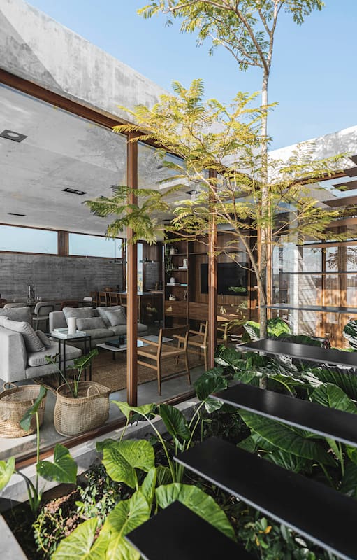 Con patios y techos verdes, esta compacta casa en Pilar logró una espacialidad extraordinaria