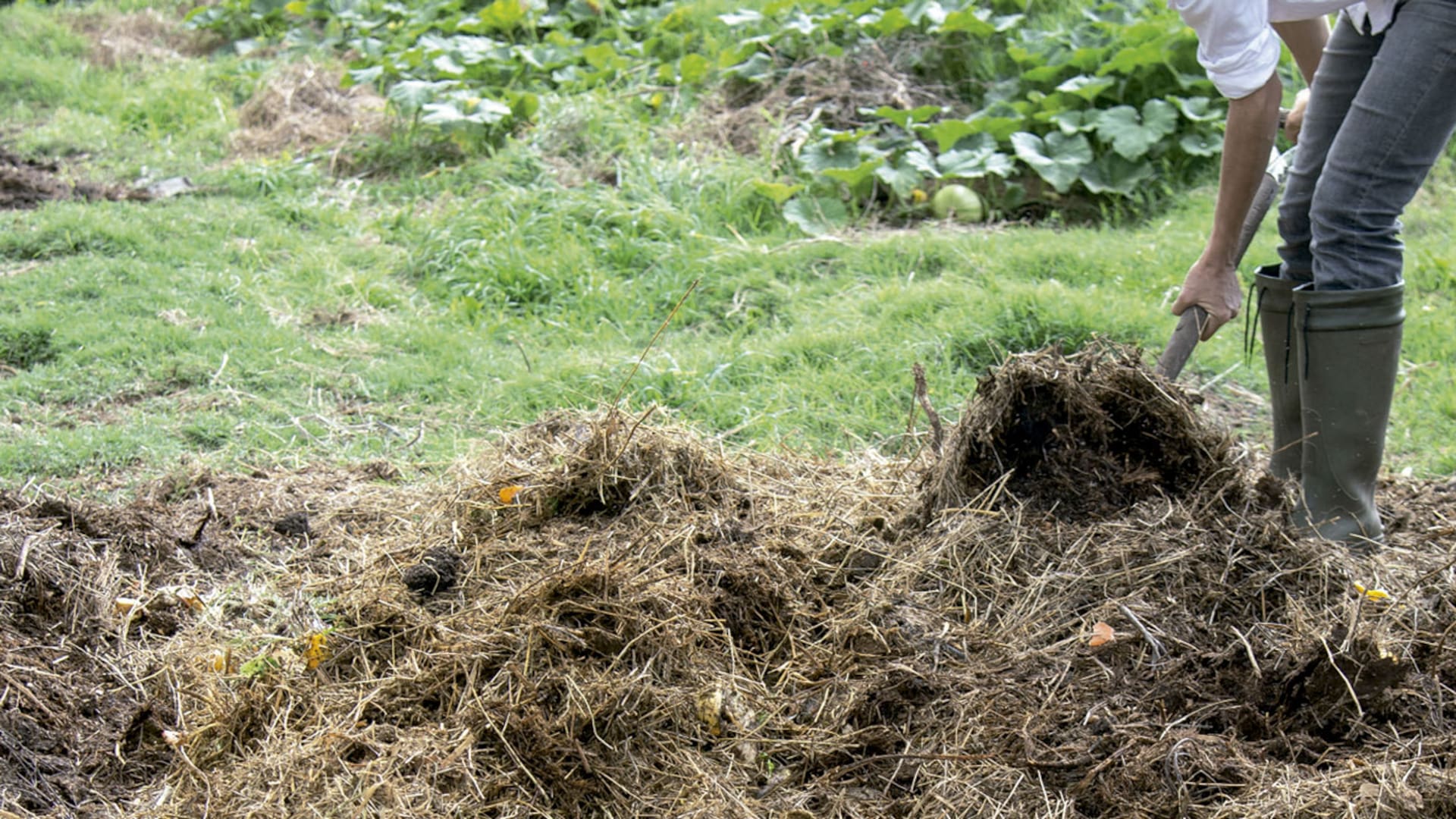 Compost: todo lo que tenés que saber para lograr tu propio abono orgánico