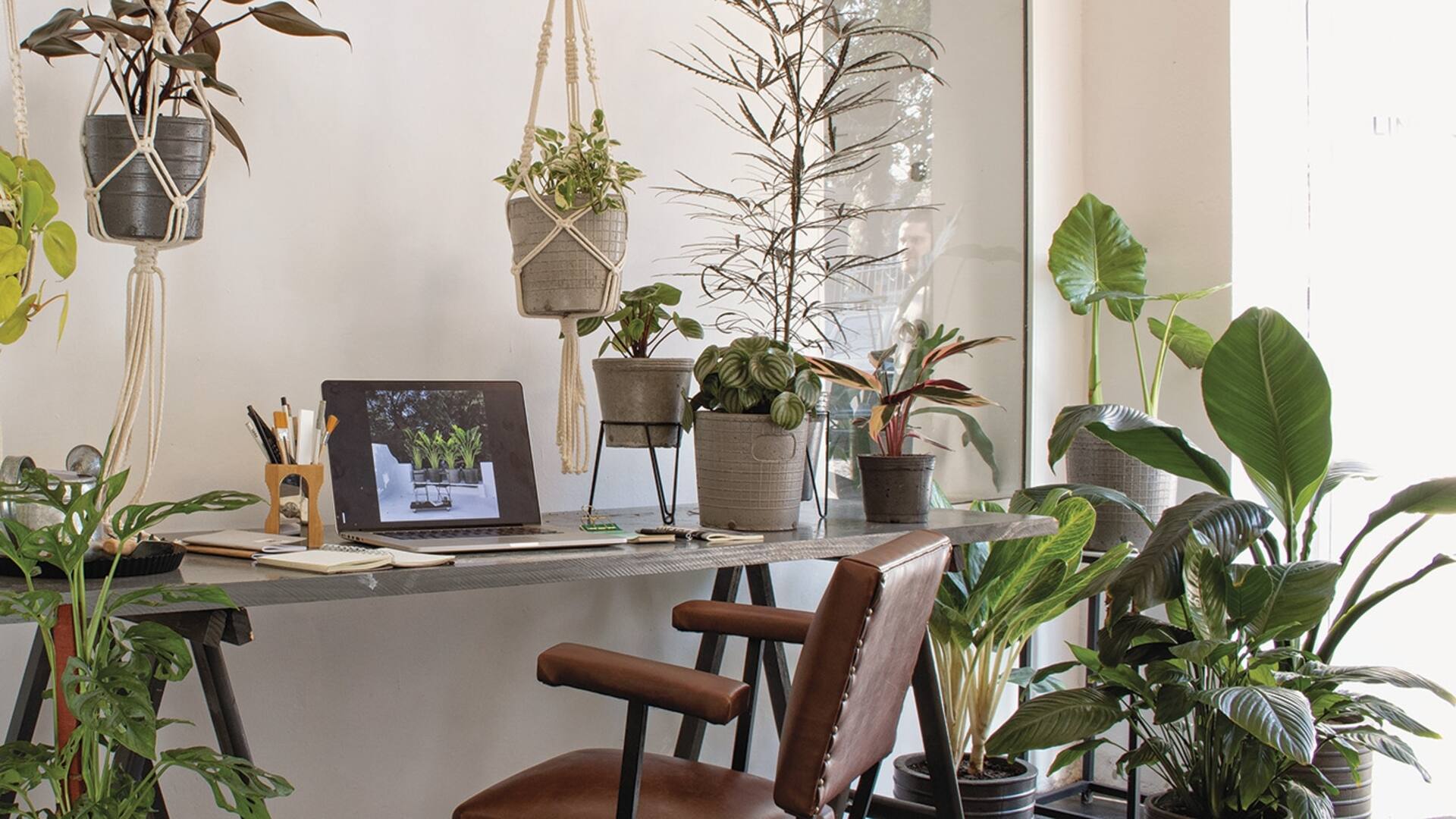 Cómo hacer que cada espacio de nuestro hogar sea un jardín