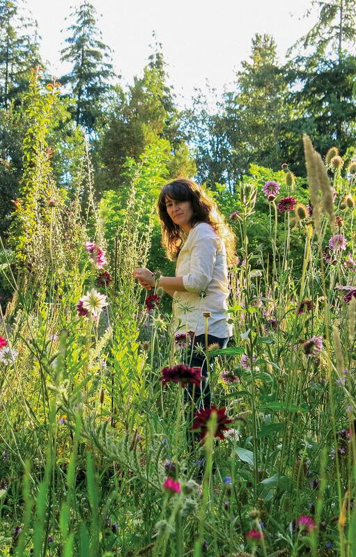 Pradera de flores: una experta jardinera explica cómo hacerla en tu jardín