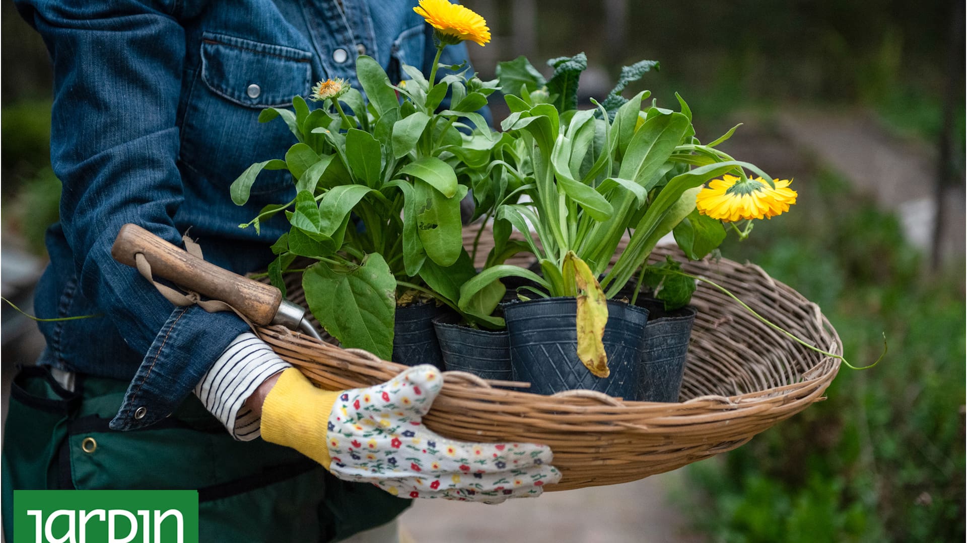 Espectacular los 365 días: cómo tener bien el jardín, incluso en otoño