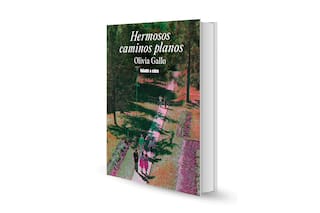 Hermosos caminos planos, de Olivia Gallo
