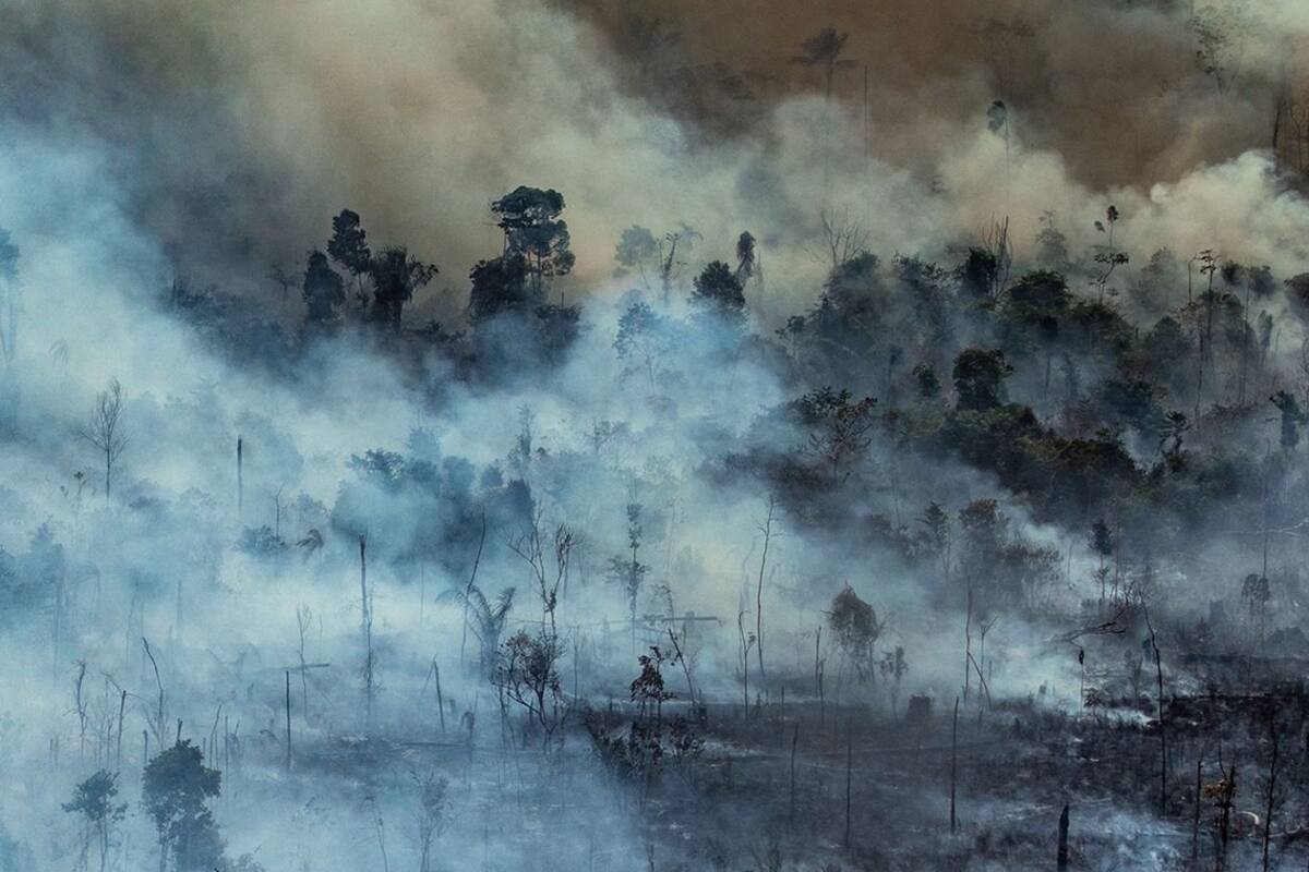 Cinco temas urgentes para salvar el planeta
