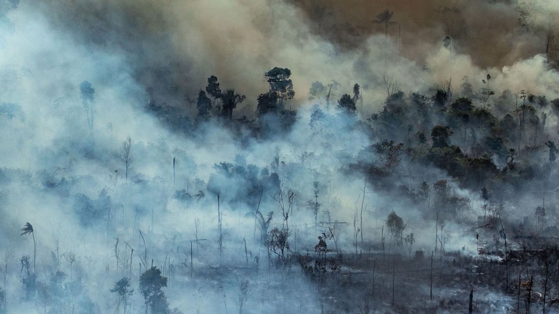 Cinco temas urgentes para salvar el planeta
