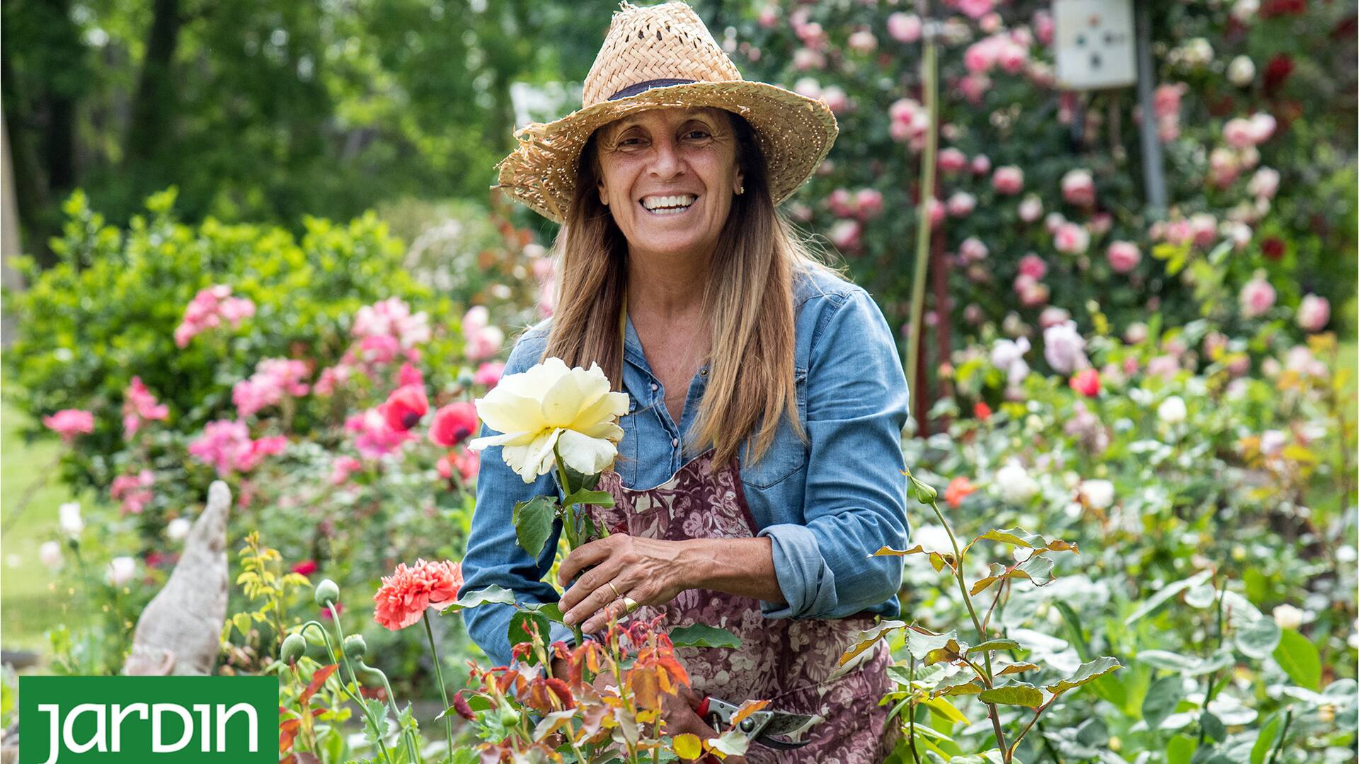 Fanática de las rosas, empezó con tres plantas y ya tiene unos 700 rosales en su chacra de Zárate
