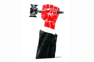 Jueces militantes y jueces litigantes
