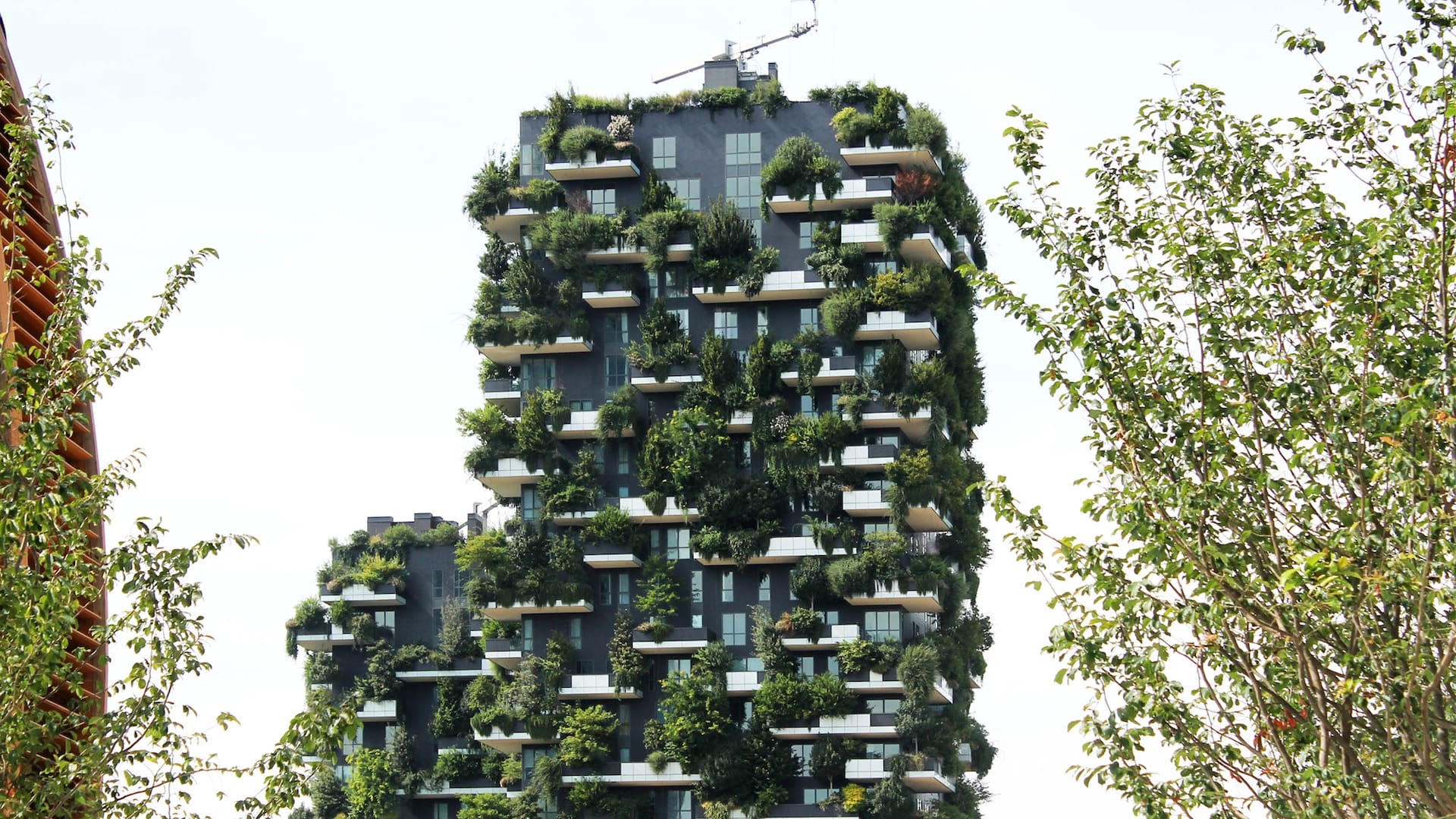 Bosco Verticale: así es la torre con 900 árboles en el centro de Milán