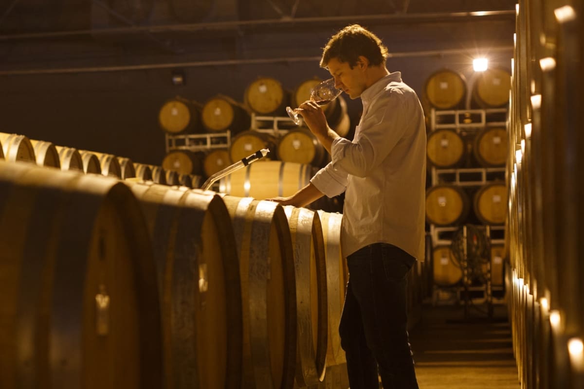 Vinos de altura con uvas de alta calidad. Viticultura de precisión, filosofía de mínima intervención y experiencia enoturística de lujo
