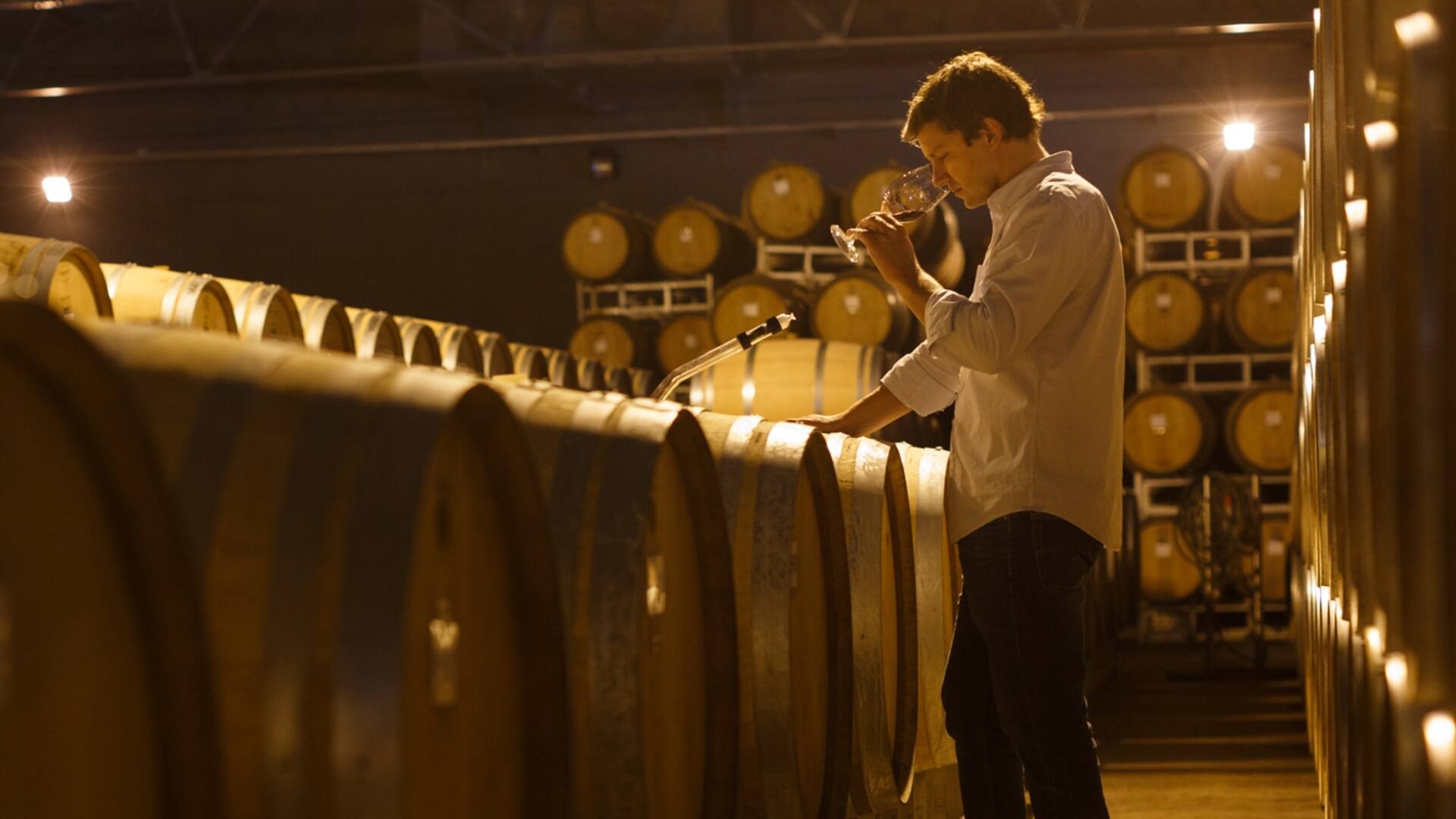 Vinos de altura con uvas de alta calidad. Viticultura de precisión, filosofía de mínima intervención y experiencia enoturística de lujo