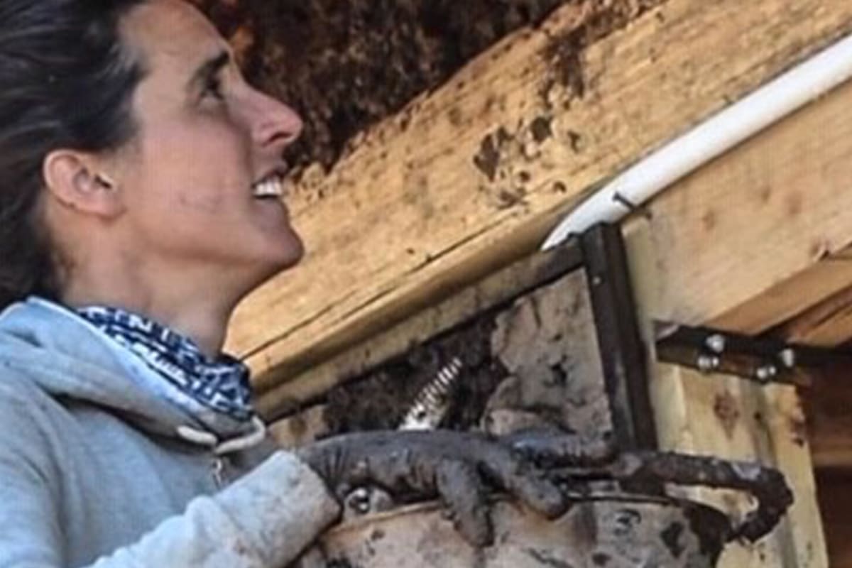 María Fourcade: la mujer que dejó los hoteles 5 estrellas para construir casas con basura
