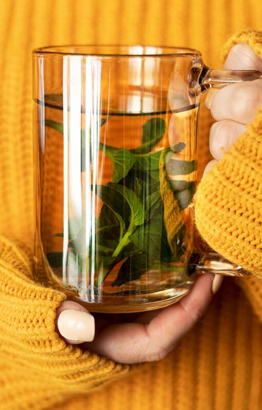 Las 10 plantas para fortalecer las defensas, mejorar la digestión y desintoxicar el organismo