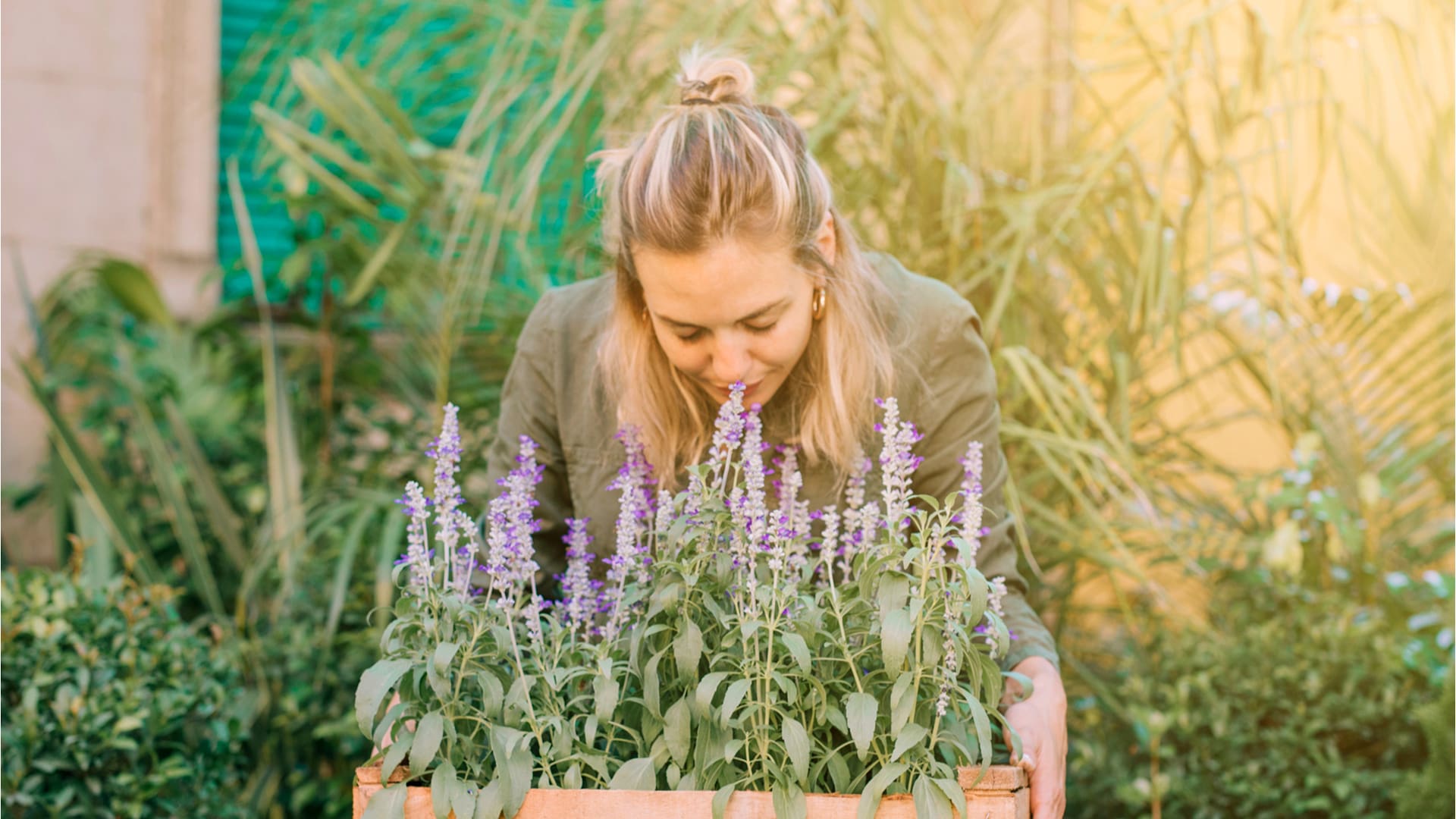 Una a una, todas las claves para transformar tu jardín en un festín para el olfato