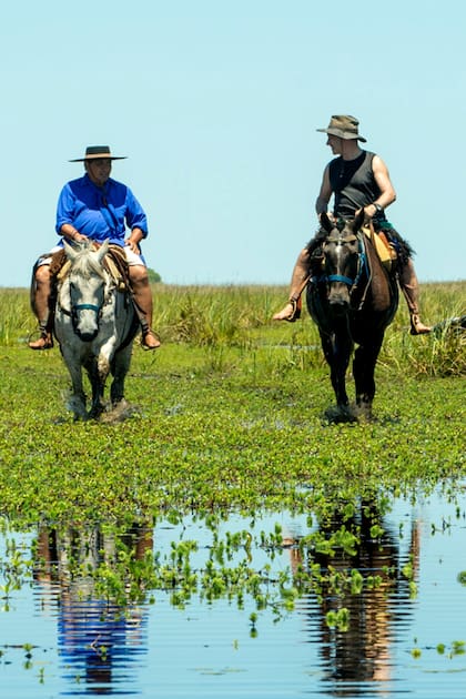 Nadar a caballo: un ritual exótico para recorrer Iberá