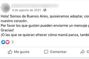 Cómo es la nueva modalidad del delito de apropiación de bebés en la Argentina