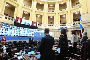Senado. La oposición le quiere discutir la agenda a Cristina Kirchner