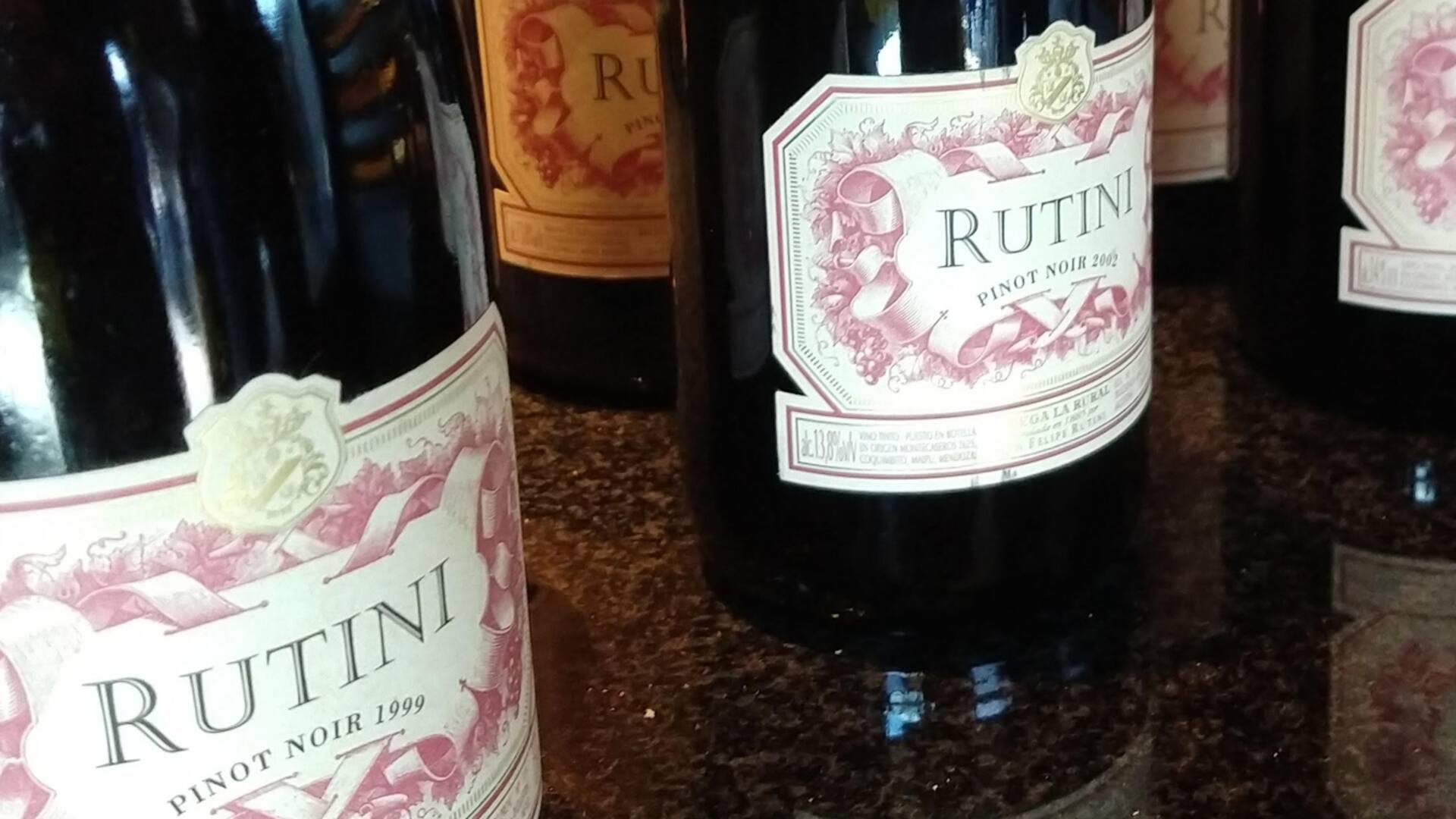 Pinot Noir. Aires nuevos para los tintos argentinos. ¿Cuáles conviene probar?