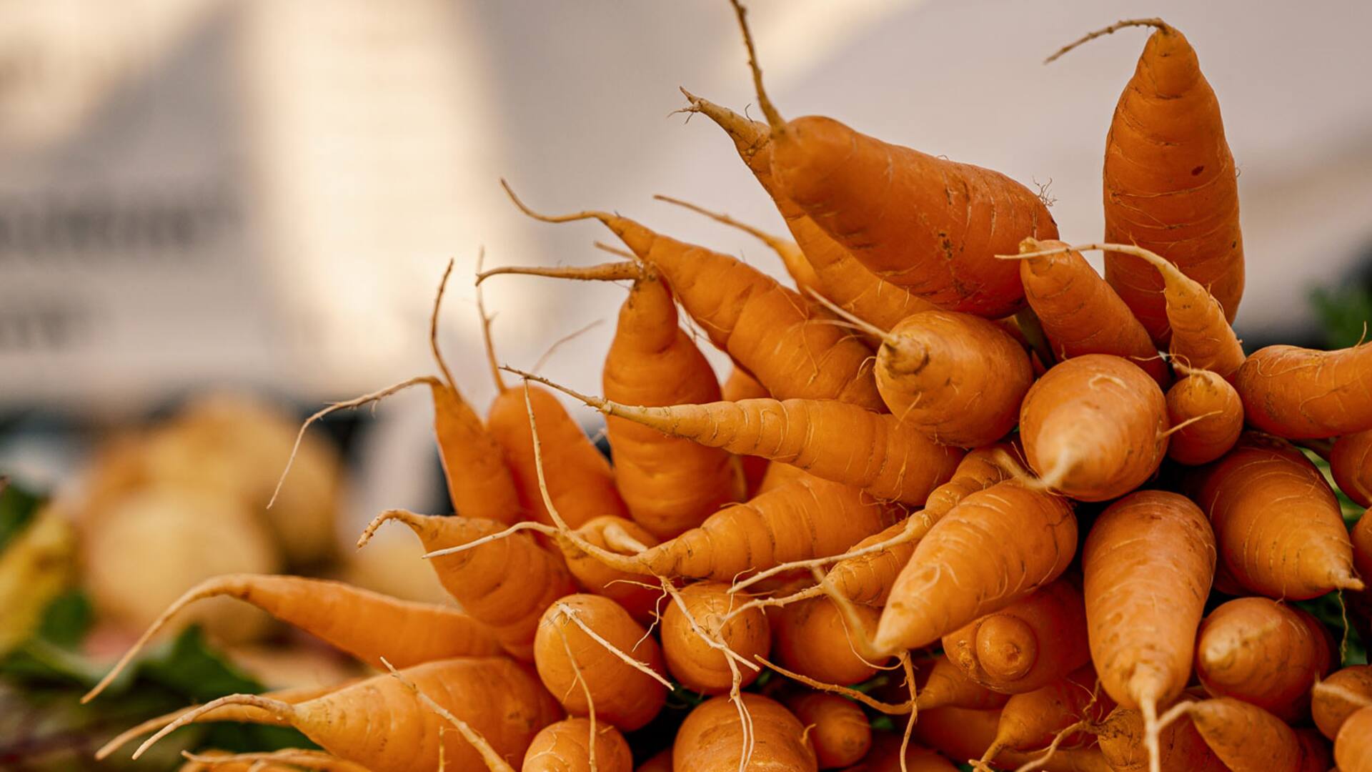Cosecha de primavera. En jugos, pickles o sopas: diez exquisitas formas de comer zanahorias