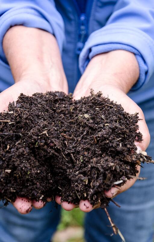 Diez preguntas para lograr un buen compost