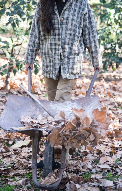 Las 20 tareas principales para hacer en tu jardín durante el otoño