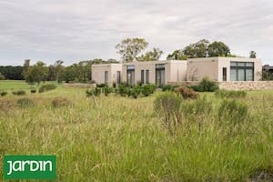 Cómo planificar una pradera nativa en pleno invierno