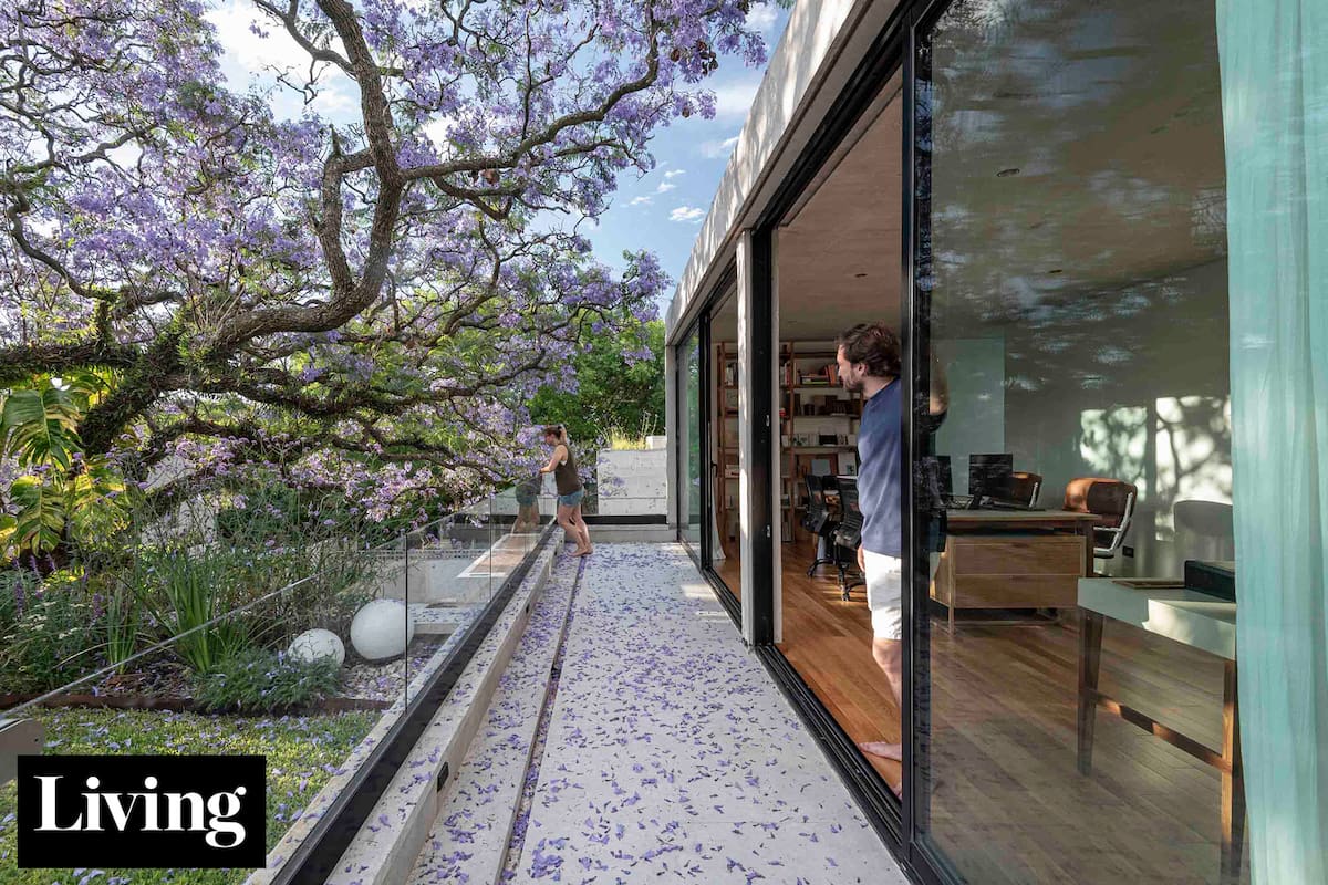 A metros de la costa de San Isidro, dos arquitectos hicieron su casa-estudio en torno a los árboles del terreno