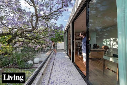 Una pareja de arquitectos hizo su casa-estudio en torno a los espléndidos árboles del terreno