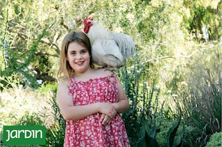 Por qué es necesario tener gallinas en tu jardín y qué razas se recomiendan