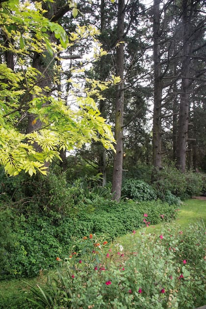 Un jardín natural donde predominan la experimentación y el amor por las plantas 