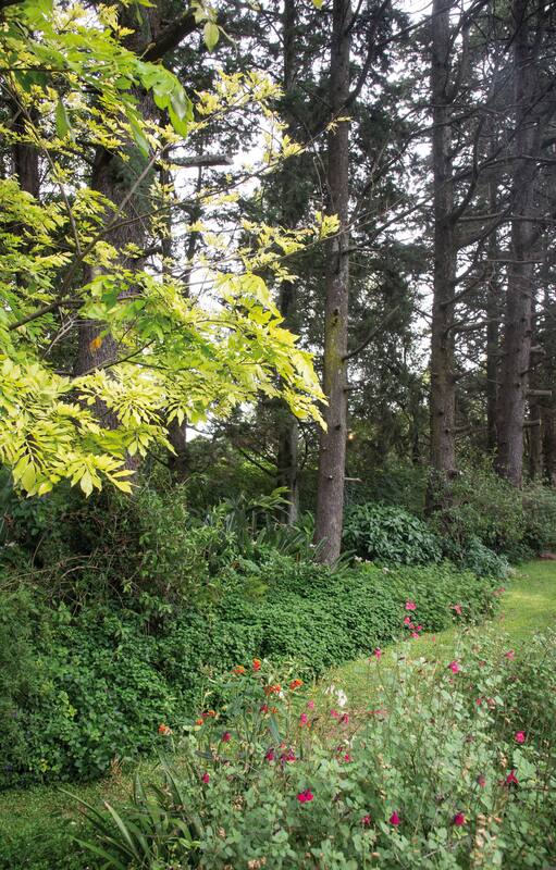 Un jardín natural donde predominan la experimentación y el amor por las plantas