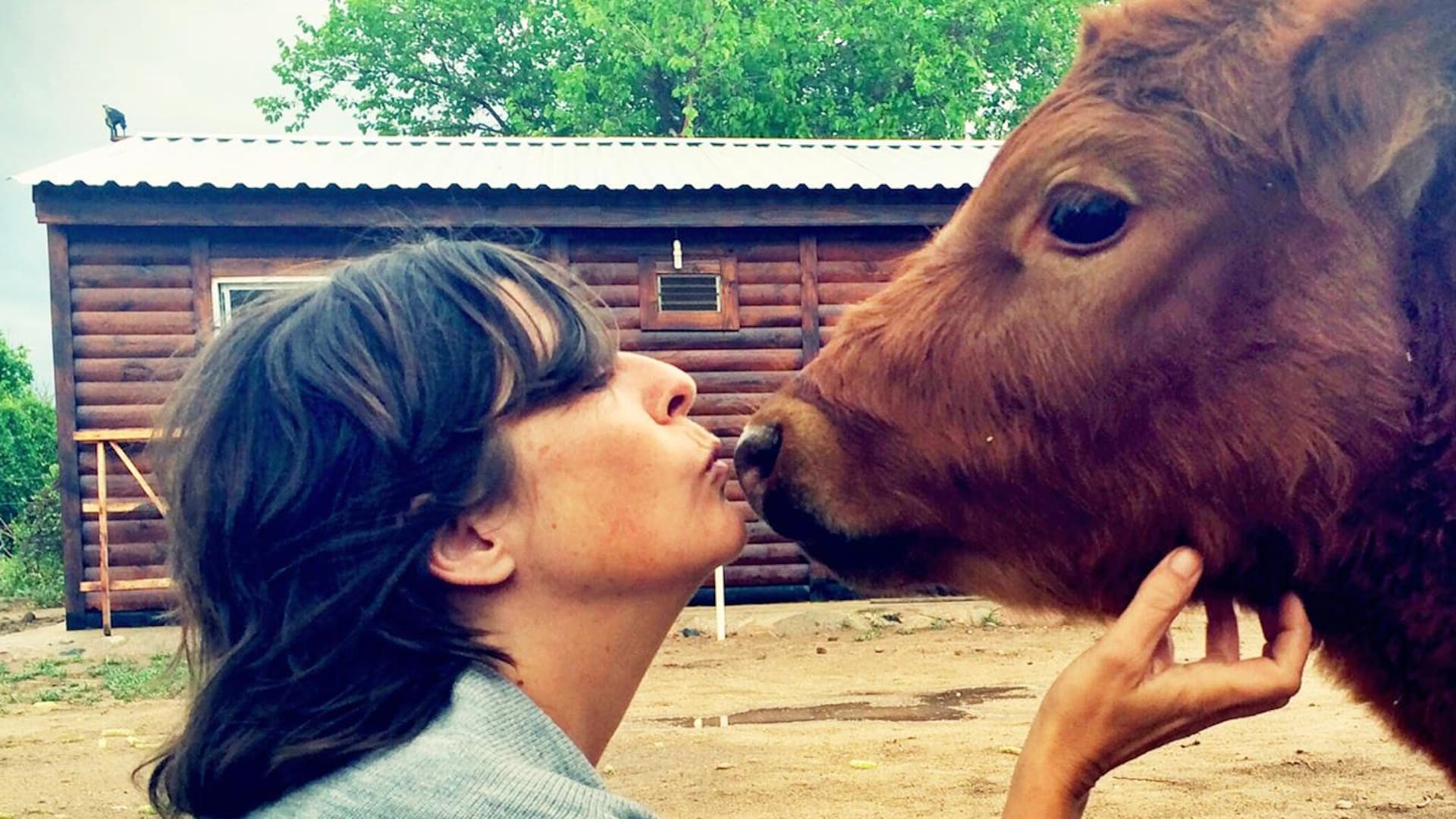 Es periodista y se fue a vivir al campo, sin luz ni agua corriente, para ayudar a los animales