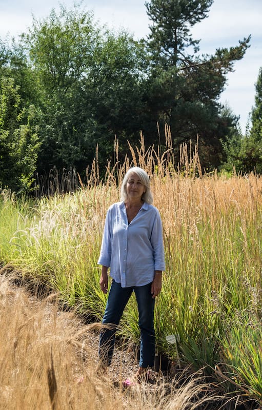 Vivero Raulí: desde hace 30 años, un espacio que fomenta la flora nativa en San Martín de los Andes